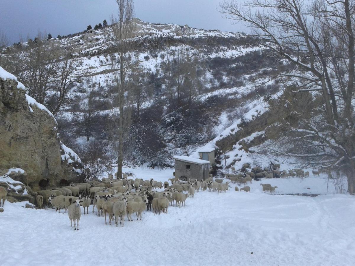 Casa Rural Amador Villarroya de los Pinares المظهر الخارجي الصورة